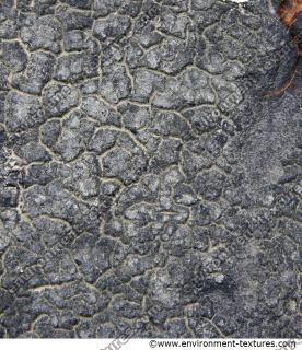 Photo Texture of Cracky Asphalt 